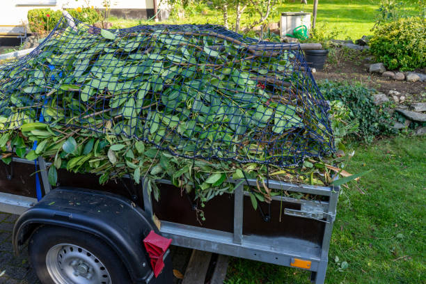Reliable Honaunau Napoopoo, HI Junk Removal Services Solutions